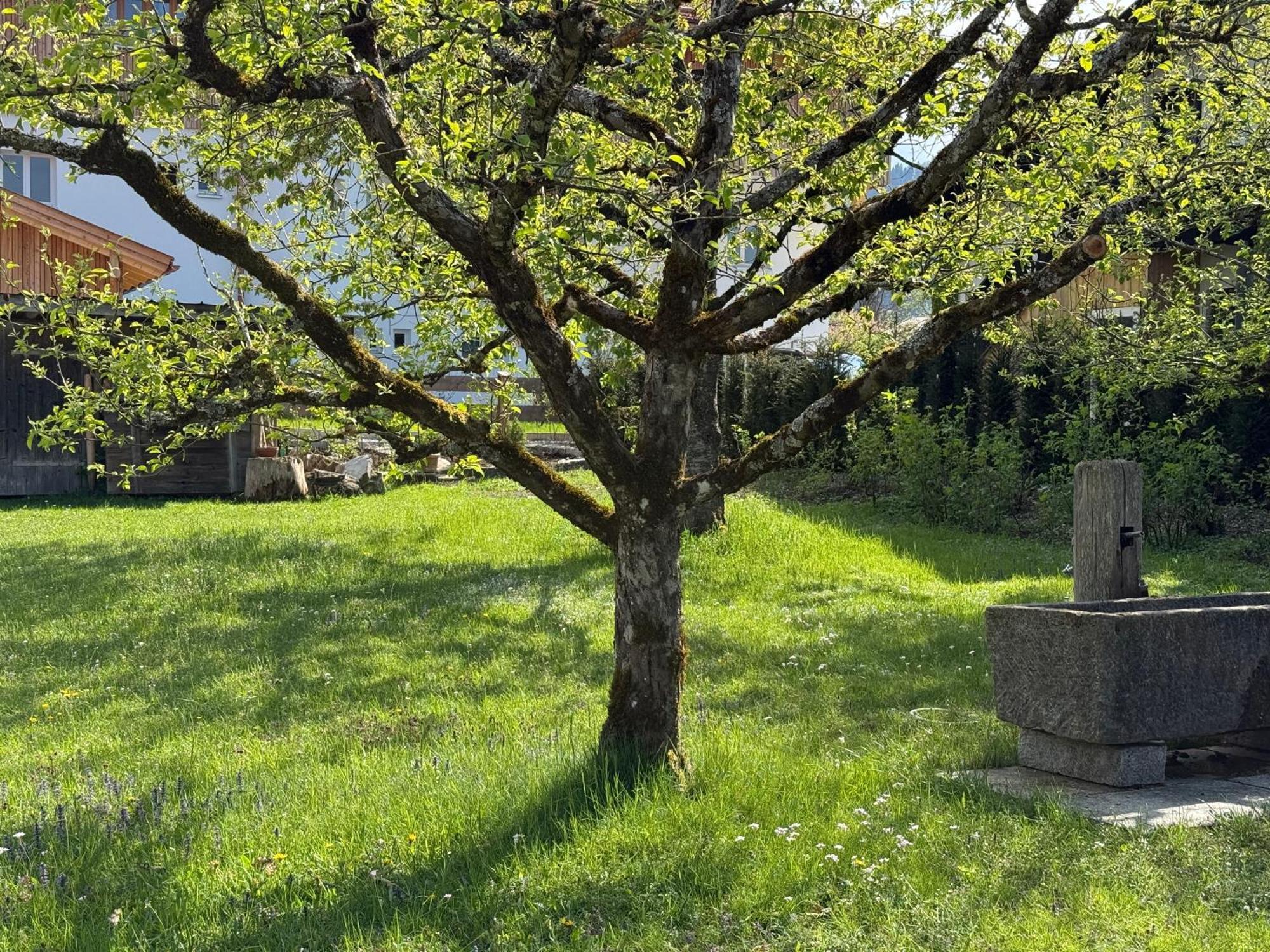 Haus Kaiser Rotta Kültér fotó